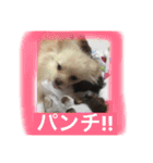 あおとももの日常（個別スタンプ：15）