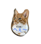 アウラちゃん（個別スタンプ：2）