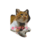 アウラちゃん（個別スタンプ：9）