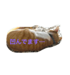 アウラちゃん（個別スタンプ：12）