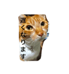 アウラちゃん（個別スタンプ：15）