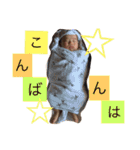 我が家の息子(赤ちゃん)（個別スタンプ：11）