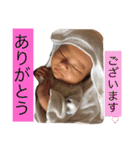 我が家の息子(赤ちゃん)（個別スタンプ：15）