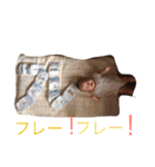 我が家の息子(赤ちゃん)（個別スタンプ：19）