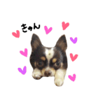 ごはんちゃん（個別スタンプ：39）