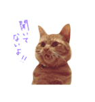 むんむの日常3（個別スタンプ：1）