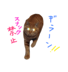 むんむの日常3（個別スタンプ：5）