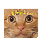 むんむの日常3（個別スタンプ：6）