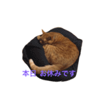 むんむの日常3（個別スタンプ：11）