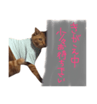 むんむの日常3（個別スタンプ：15）