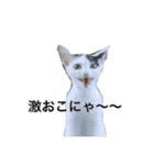 ナカマ家の赤ちゃん猫たち（個別スタンプ：5）