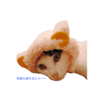 ナカマ家の赤ちゃん猫たち（個別スタンプ：6）