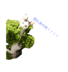 ナカマ家の赤ちゃん猫たち（個別スタンプ：8）