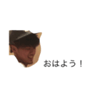 c.b（個別スタンプ：3）