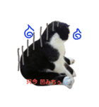 諭吉1（個別スタンプ：3）