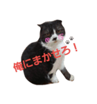 諭吉1（個別スタンプ：7）