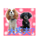 ビギーとメルモのスタンプ（個別スタンプ：7）