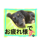 ビギーとメルモのスタンプ（個別スタンプ：10）