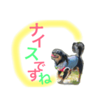 ビギーとメルモのスタンプ（個別スタンプ：12）