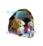 元保護犬チワックスのひまわりです。（個別スタンプ：3）