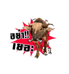 We R Buffalo！！（個別スタンプ：5）