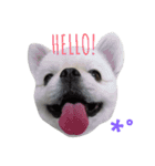 こはくすたんぷ《peki*chihua》（個別スタンプ：2）