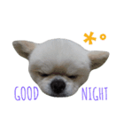 こはくすたんぷ《peki*chihua》（個別スタンプ：3）