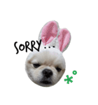 こはくすたんぷ《peki*chihua》（個別スタンプ：4）