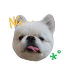 こはくすたんぷ《peki*chihua》（個別スタンプ：8）