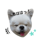 こはくすたんぷ《peki*chihua》（個別スタンプ：10）