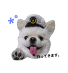 こはくすたんぷ《peki*chihua》（個別スタンプ：13）