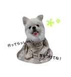 こはくすたんぷ《peki*chihua》（個別スタンプ：15）