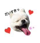 こはくすたんぷ《peki*chihua》（個別スタンプ：22）