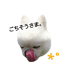 こはくすたんぷ《peki*chihua》（個別スタンプ：25）
