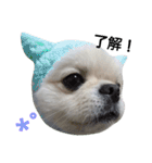 こはくすたんぷ《peki*chihua》（個別スタンプ：28）