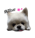 こはくすたんぷ《peki*chihua》（個別スタンプ：29）