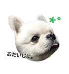 こはくすたんぷ《peki*chihua》（個別スタンプ：30）