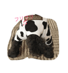 auel（個別スタンプ：6）