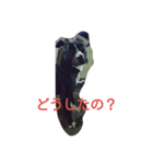 いぬきぶん（個別スタンプ：3）