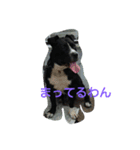 いぬきぶん（個別スタンプ：5）