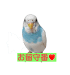 インコうさぎ（個別スタンプ：1）