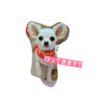 Omochi days（個別スタンプ：1）