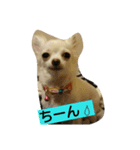 Omochi days（個別スタンプ：2）