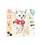 チュラ＆バットニャン vol.1（個別スタンプ：1）