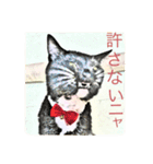チュラ＆バットニャン vol.1（個別スタンプ：13）