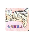チュラ＆バットニャン vol.1（個別スタンプ：14）
