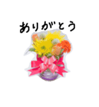お花の写真スタンプ1（個別スタンプ：9）