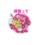 お花の写真スタンプ1（個別スタンプ：14）