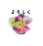 お花の写真スタンプ1（個別スタンプ：15）