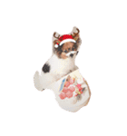 AlexDog（個別スタンプ：10）